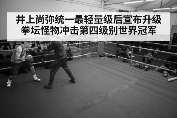 boxer training gym